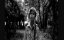    / The Man in the Woods - 