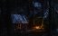   / Cold Mountain - 