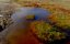    / American Sasquatch - 