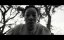 ������������ / Emancipation - ������� ������������� �������