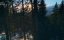 ����� ������� ������ / Into the Carpathian Wild - 1 �����, 1 ����� "�����"