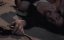 � ���� �� ���� ������ 3 / I Spit on Your Grave 3 - �������