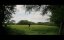     / East of Middle West - 