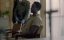   / Caged (The S.H.U) - 