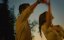  / Picture Perfect Romance - 