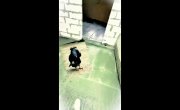 ������-������