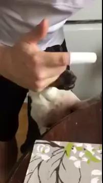 ������