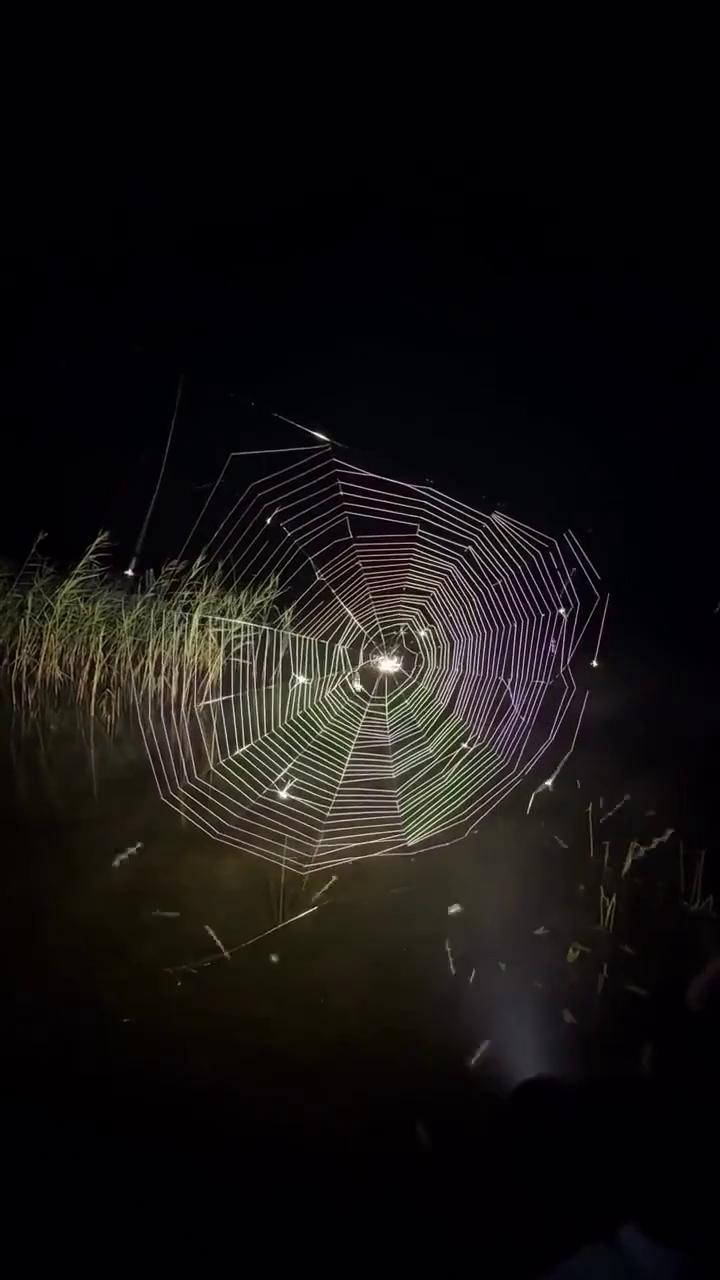 ������