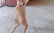 ..   