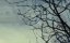      / Extremely Loud & Incredibly Close - 