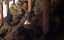 , ... / Oh Willy - 