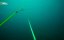    / The Secret Life of Pearls - 