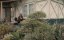  / Kuyang The Movie - 