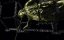 ������������ (���������) / The Expanse - 1 �����, 8 �����