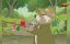     / The Secret World of Benjamin Bear - 3 , 11 