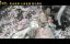   / Qi Hua Ji / The Revenge of Flowers -  