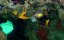 ����������� ��������� ������ / Africa's UnderWater Wonders - 1 �����, 5 �����