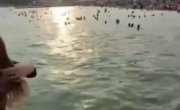 ����� ��������)