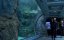 �������� ��������� / Aquarium of the Dead - �����