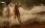   / The Kangaroo King - 