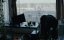   / Offline - 