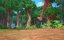 ������ � �����. ����� ����������� / Adventures of Akira and Mowgli - 1 �����, 13 �����