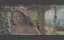 ����� / Moana - �����