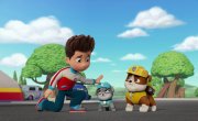   / PAW Patrol - 11 , 15 