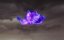 ������ ���� / A Will Eternal - 4 �����, 17 �����