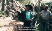 Дикая лошадь / La Potra Salvaje - Фильм