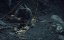  :   / Gold Rush: White Water - 9 , 5 