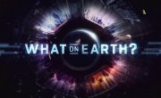 ������� ������� ����� / What on Earth? - 8 �����, 17 �����