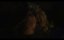    / Bis ans Ende der Nacht / Till the End of the Night - -