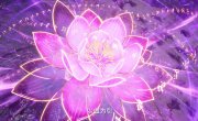 �������� �������� / Yi Zhan Cangqiong - 1 �����, 13 �����