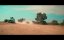   / End of the Road -  