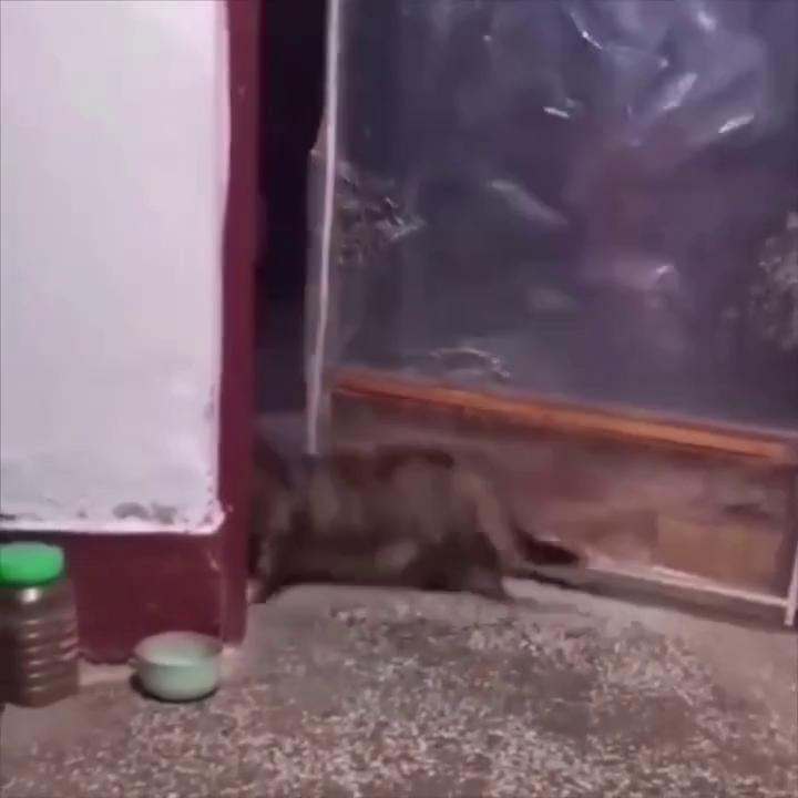 ������