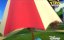 ������� ����� / Puppy Dog Pals - 3 �����, 13 ����� "��� ������� �������� ���������"
