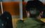   / Da ying jia - 
