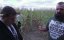 ����� �������� / Sharks of the Corn - �����