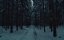   / Immerstill / Landkrimi: Immerstill - 
