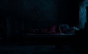  / Anemone - 