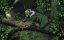  ! / Akame ga Kill! - 1 , 16 