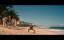     / Welcome to the Jungle - 