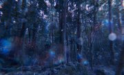 Луз / Luz - Фильм