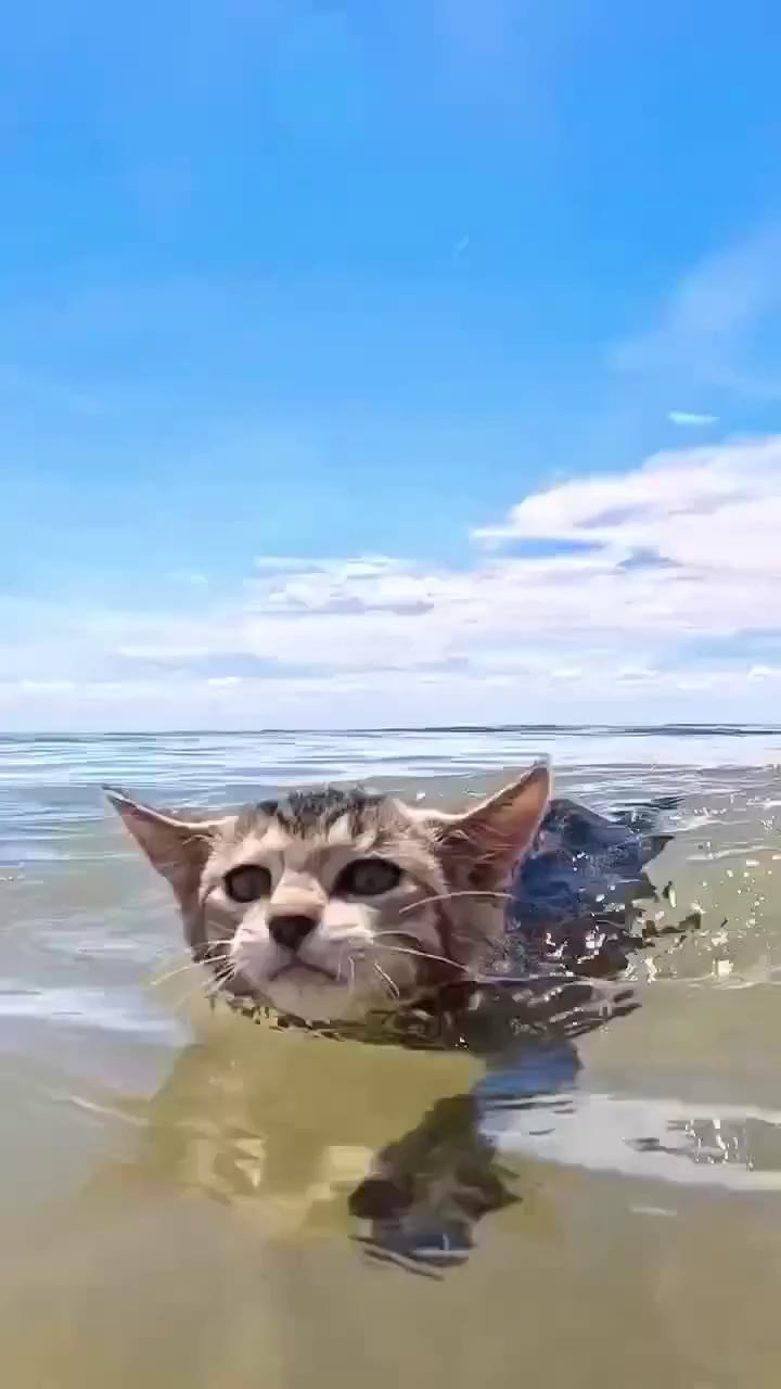 ������
