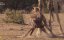 ������� ��������� ������� / Big Little Giants - �����