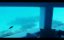   - 101  "   (10.04.2015)"