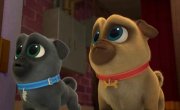 ������� ����� / Puppy Dog Pals - 4 �����, 26 ����� "������� ������� �������"