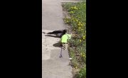 �����-�� � �� �������� ����� � ������