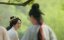   / The Prisoner of Beauty - 1 , 1 